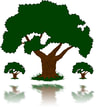 burton-morewood-logo